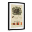 Especies De Liquen Vi | Cuadro decorativo de Canvas Lab