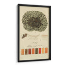 Especies De Liquen Vi | Cuadro decorativo de Canvas Lab