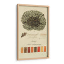 Especies De Liquen Vi | Cuadro decorativo de Canvas Lab