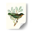 En Percho I | Cuadro decorativo de Canvas Lab