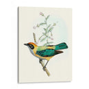 En Percho Ii | Cuadro decorativo de Canvas Lab