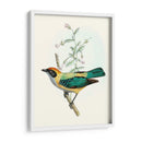 En Percho Ii | Cuadro decorativo de Canvas Lab