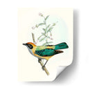 En Percho Ii | Cuadro decorativo de Canvas Lab