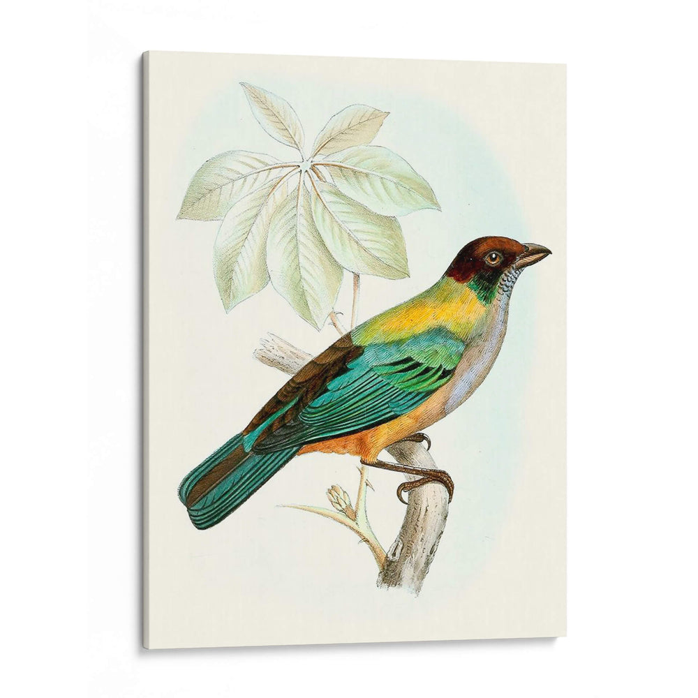 En Perch Iii | Cuadro decorativo de Canvas Lab