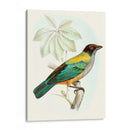 En Perch Iii | Cuadro decorativo de Canvas Lab