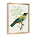 En Perch Iii | Cuadro decorativo de Canvas Lab