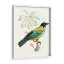 En Perch Iii | Cuadro decorativo de Canvas Lab