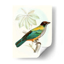 En Perch Iii | Cuadro decorativo de Canvas Lab