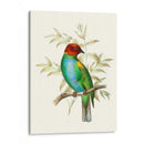 En Perch Iv | Cuadro decorativo de Canvas Lab