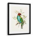 En Perch Iv | Cuadro decorativo de Canvas Lab