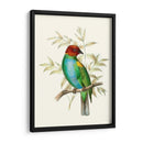 En Perch Iv | Cuadro decorativo de Canvas Lab