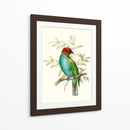 En Perch Iv | Cuadro decorativo de Canvas Lab