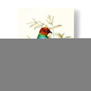 En Perch Iv | Cuadro decorativo de Canvas Lab