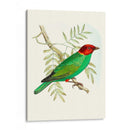 En Perca V | Cuadro decorativo de Canvas Lab