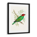 En Perca V | Cuadro decorativo de Canvas Lab