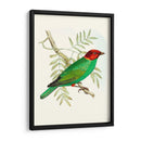 En Perca V | Cuadro decorativo de Canvas Lab