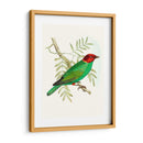 En Perca V | Cuadro decorativo de Canvas Lab