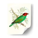 En Perca V | Cuadro decorativo de Canvas Lab