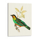 En Perch Vi | Cuadro decorativo de Canvas Lab