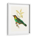 En Perch Vi | Cuadro decorativo de Canvas Lab