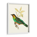 En Perch Vi | Cuadro decorativo de Canvas Lab