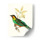 En Perch Vi | Cuadro decorativo de Canvas Lab