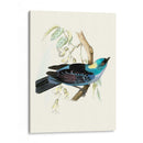 En Perch Vii | Cuadro decorativo de Canvas Lab