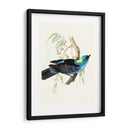 En Perch Vii | Cuadro decorativo de Canvas Lab