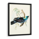 En Perch Vii | Cuadro decorativo de Canvas Lab