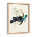 En Perch Vii | Cuadro decorativo de Canvas Lab