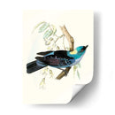 En Perch Vii | Cuadro decorativo de Canvas Lab