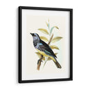 En Perch Viii | Cuadro decorativo de Canvas Lab