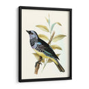 En Perch Viii | Cuadro decorativo de Canvas Lab