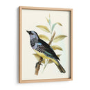 En Perch Viii | Cuadro decorativo de Canvas Lab