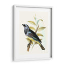 En Perch Viii | Cuadro decorativo de Canvas Lab