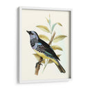 En Perch Viii | Cuadro decorativo de Canvas Lab