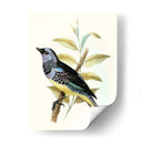 En Perch Viii | Cuadro decorativo de Canvas Lab