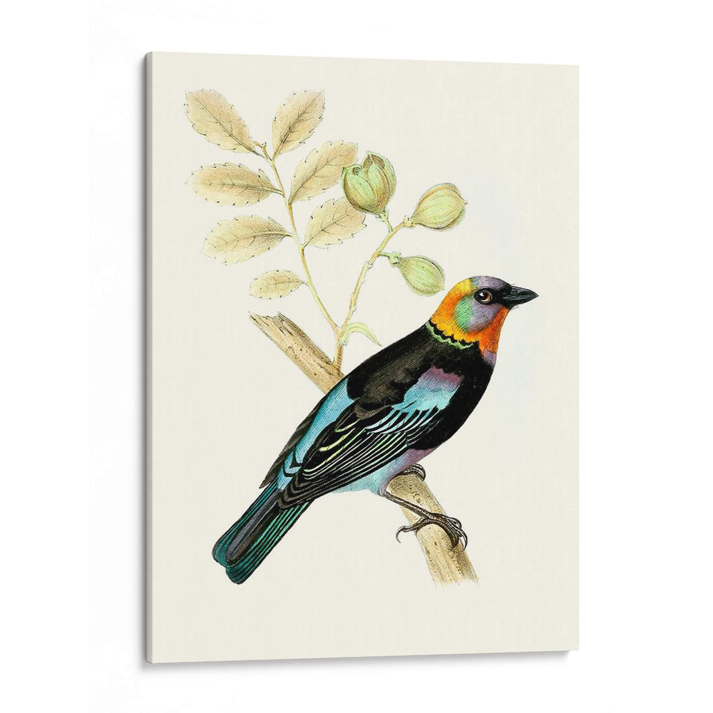 En Perch Ix | Cuadro decorativo de Canvas Lab