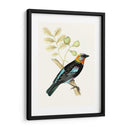 En Perch Ix | Cuadro decorativo de Canvas Lab