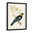 En Perch Ix | Cuadro decorativo de Canvas Lab