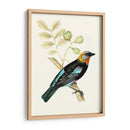 En Perch Ix | Cuadro decorativo de Canvas Lab