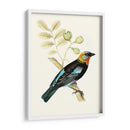 En Perch Ix | Cuadro decorativo de Canvas Lab