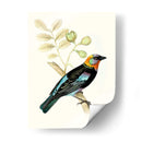 En Perch Ix | Cuadro decorativo de Canvas Lab