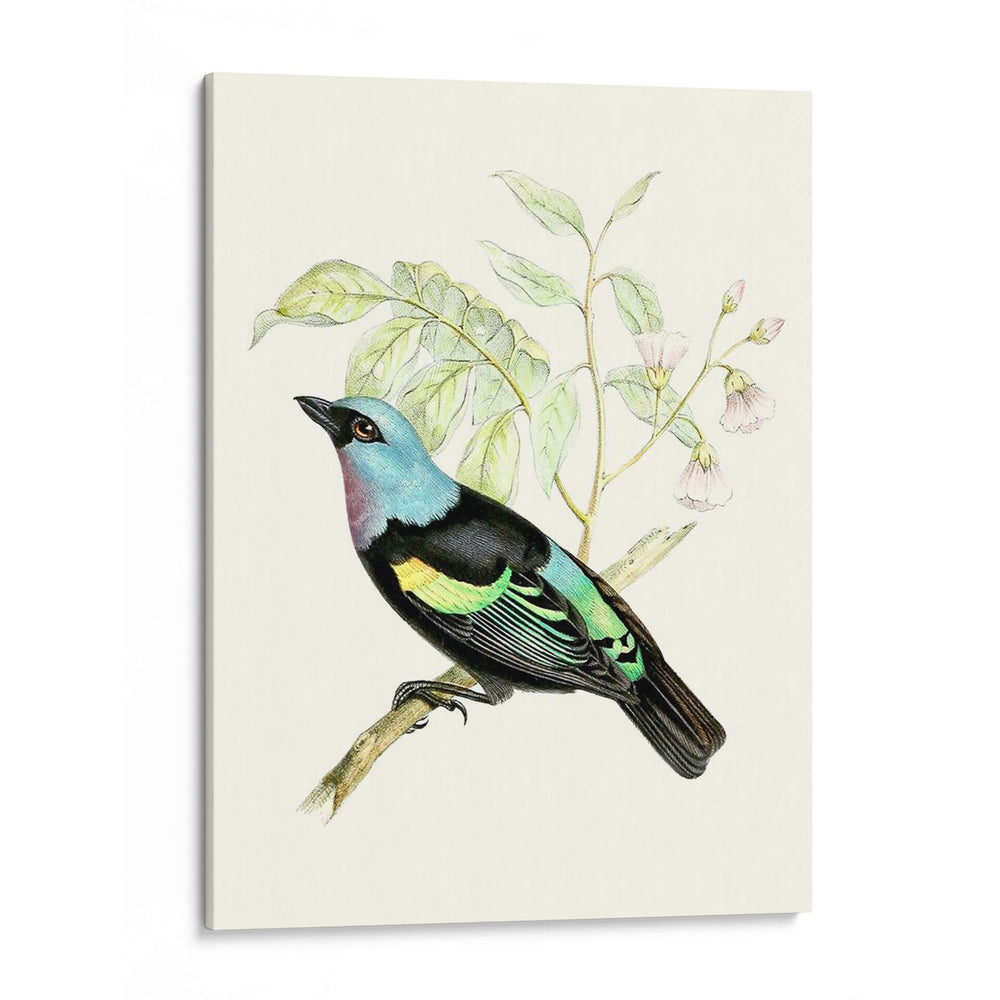 En Percha X | Cuadro decorativo de Canvas Lab