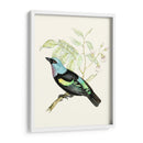 En Percha X | Cuadro decorativo de Canvas Lab