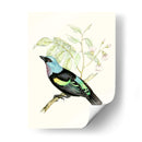 En Percha X | Cuadro decorativo de Canvas Lab