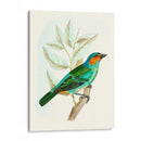 En Percha Xi | Cuadro decorativo de Canvas Lab