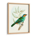 En Percha Xi | Cuadro decorativo de Canvas Lab