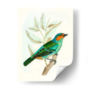 En Percha Xi | Cuadro decorativo de Canvas Lab