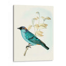 En Percha Xii | Cuadro decorativo de Canvas Lab